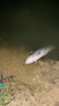 釣神（DIAOSHEN） 魚線主線子線大物強(qiáng)拉力原絲黑坑青魚草魚漁具漁線巨物50米釣線 子線4.0 曬單實(shí)拍圖