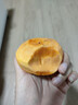 京鮮生 陽(yáng)豐脆甜柿 凈重8.5-9斤單果100g+ 水果源頭直發(fā) 包郵 曬單實(shí)拍圖