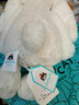 Jellycat【阿信同款】專(zhuān)柜代購害羞米色白色邦尼兔毛絨玩具安撫公仔跨年 乳白色邦尼兔 31cm 曬單實(shí)拍圖