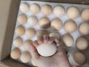 幸福遙無(wú)抗鮮雞蛋30枚 3.2斤/盒 保潔蛋 貴州原產(chǎn) 源頭直發(fā) 曬單實(shí)拍圖