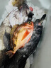 SHIMANO日本進(jìn)口純碳線(xiàn)路亞前導線(xiàn)魚(yú)線(xiàn)強拉力磯釣海釣碳素線(xiàn)子線(xiàn) 1.5號 【50米】真碳線(xiàn)前導【高耐磨 秒 曬單實(shí)拍圖