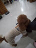 鉑吶苓貓咪狗狗衣服寵物加絨保暖泰迪比熊博美小型犬幼犬保暖四腳棉衣 寵物衣服【棕】 L 曬單實(shí)拍圖