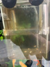 森森（SUNSUN） 魚(yú)缸水族箱自浮式多功能亞克力隔離盒/孵化盒 小號孵化盒(8*7*11cm)SX-13 曬單實(shí)拍圖