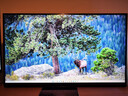 LG 31.5英寸4K電競顯示器144Hz高刷電腦顯示屏 FastIPS 1ms HDR400  HDMI2.1 1000:1 32GS94U 曬單實(shí)拍圖