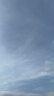 都市麗人吊帶背心女外穿內(nèi)搭夏季薄款百搭美背打底上衣修身顯瘦 白色 M 曬單實拍圖