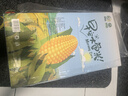 麥秀年早安大苞米東北黃糯玉米6.4斤約200g*16穗軟糯真空家庭裝禮盒 曬單實(shí)拍圖