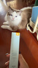 修麗可防曬小銀傘40mlSPF50+護(hù)膚品美白淡斑化妝品生日禮物送女友 曬單實(shí)拍圖