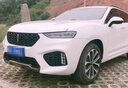 百繪彩專(zhuān)用長(cháng)城魏派VV5汽車(chē)補漆筆白色6車(chē)漆劃痕修復神器7珍珠白坦克300 雪域白/珍珠白-VV6 VV7 VV5 【簡(jiǎn)易修復】補漆筆+砂紙 曬單實(shí)拍圖
