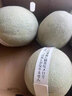 鮮其日本引種冰淇淋網(wǎng)紋蜜瓜熱帶當季新鮮水果禮盒密瓜玫瓏海陽(yáng)蜜瓜 精選2粒玫瓏蜜瓜（精選裝） 曬單實(shí)拍圖