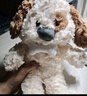 名創(chuàng  )優(yōu)品（MINISO）吉梨尼尼乖乖坐姿公仔毛絨玩具玩偶娃娃抱枕小狗娃娃生日禮物女 曬單實(shí)拍圖