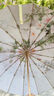 旭晴網(wǎng)紅唯美雨傘16骨彩膠遮陽(yáng)傘新中式復古防曬防紫外線(xiàn)折疊晴雨傘女三折手開(kāi)款--櫻醉人間 16骨 曬單實(shí)拍圖