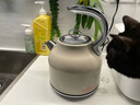 德世朗（DESLON）恒溫電熱水壺燒水壺大容量家用復古電水壺煮茶開(kāi)水壺 1.7L 【高顏值-鋼琴烤漆】三代復古白 曬單實(shí)拍圖