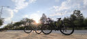 菲利普（PHILLIPS）山地车自行车学生男女成人公路城市减震碟刹通勤男变速越野青少年 高级灰 （26寸）适合160-183cm 24速竞技版 晒单实拍图