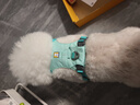 拉夫威爾嗨輕狗狗胸背帶狗背帶中小型犬雪納瑞背帶式狗狗牽引繩 鼠尾草綠/霧森綠 S 曬單實(shí)拍圖