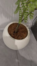 未歐仿真綠植藍(lán)花楹室內(nèi)盆栽大型仿生植物假樹輕奢客廳裝飾品落地擺件 加密款藍(lán)花楹+圓球花盆 160cm 曬單實拍圖