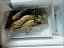 漁哥戲魚(yú)青島大蝦小白蝦海蝦國產(chǎn)鹽凍生鮮海鮮水產(chǎn)新鮮大蝦青蝦基圍蝦蝦類(lèi) 80/100白蝦 3斤(凈重) 曬單實(shí)拍圖