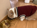 SUOLUOMEN狗狗衣服中型犬秋冬款保暖柴犬泰迪比熊法斗柯基學(xué)院風(fēng)衛毛衣秋季 酒紅學(xué)院風(fēng)毛衣 3XL適合28斤內 曬單實(shí)拍圖