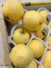 耀好山東黃金維納斯蘋(píng)果新鮮水果脆甜多汁黃胖子奶油蘋(píng)果送禮水果禮盒 7.5-8斤禮盒【珍品大果15枚】 曬單實(shí)拍圖