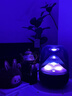 哈曼卡頓琉璃5代 琉璃4代升級款 藍(lán)牙音箱 家居藝術(shù)音箱  智能音響 AURA STUDIO 5 生日禮物  音樂琉璃5代 【年度重磅新品】琉璃5代 曬單實(shí)拍圖