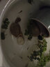 觀背青鳉淡水冷水魚古法養(yǎng)魚魔法稻田廣溫魚耐活易養(yǎng)無(wú)需打氧過濾 真長(zhǎng)瑪利亞一對(duì)啊2cm(種魚圖） 曬單實(shí)拍圖