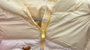 巴拉巴拉嬰兒羽絨服男女童冬季外套撞色萌趣200424107205 曬單實(shí)拍圖