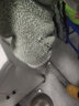 啄木鳥少女羊毛衫初中生羊毛衣女新款毛衣初中學(xué)生大童仿水貂絨圓領(lǐng)毛衣 綠色加/絨加厚 M 96-105斤 曬單實(shí)拍圖