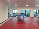 動聯(lián)無界室內(nèi)乒乓球地膠墊專業(yè)球館PVC運動地板耐磨防滑地膠墊 專業(yè)麻布紋4.5毫米/平方 曬單實拍圖