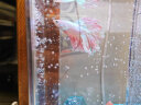 千浔水族方寸秘境泰国斗鱼缸桌面迷你小鱼缸生态自循环办公桌家用创意造景 鱼缸（标准款）+玻璃造景 实拍图