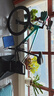 CYCPLUS fitnessT3騎行臺(tái)室內(nèi)智能直驅(qū)山地公路自行車(chē)騎行架功率訓(xùn)練臺(tái) 曬單實(shí)拍圖