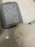 爱丽思（IRIS）狗厕所 防撕咬平板敞开式带网格宠物用品TFT49511 灰色 实拍图