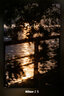 騰龍（Tamron） A047 70-300mm F4.5-6.3 微單相機全畫(huà)幅長(cháng)焦遠攝變焦鏡頭 騰龍70-300mm尼康微單全畫(huà)幅Z卡口 標配送騰龍原裝UV禮包】不要可減價(jià) 曬單實(shí)拍圖