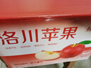京地達蘋(píng)果水果洛川紅富士蘋(píng)果整箱新鮮水果凈重8.5斤單果200g+源頭直發(fā) 曬單實(shí)拍圖