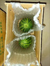 沐瑾北京大興龐各莊頭茬小西瓜L600小吊瓜皮薄肉厚新鮮水果 6斤 2顆(5斤-6斤)  精選果  整箱 曬單實拍圖