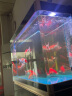 森森（SUNSUN）鱼缸潜水灯变色LED灯七彩照明水族箱造景灯龙鱼防水灯管 130cm双排灯蓝白色22W（带独立开关） 实拍图