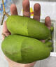 正鮮森順豐云南元江生酸芒果 生吃酸脆青芒果芽  新鮮青嫩芒果孕婦水果  2斤（1kg）老品種酸芒果 曬單實(shí)拍圖