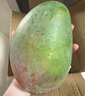 京覓 攀枝花凱特芒果 5斤單果500g+ 新鮮水果生鮮應當季甜芒 源頭直發(fā) 曬單實(shí)拍圖