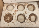 耕果妙新鮮大鵝蛋12枚凈重2.4斤散養(yǎng)新鮮鵝蛋100-130g/枚 源頭直發(fā)包郵 曬單實(shí)拍圖