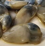遇上鮮 泥螺即食罐裝大黃泥螺生腌醉泥螺海鮮寧波舟山特產(chǎn)無(wú)沙200g 曬單實(shí)拍圖