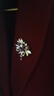 歐本赫?benheart丹麥荷花胸針蓮花高端精致時(shí)尚胸花奢華別針氣質(zhì)掛件女款高級(jí)禮物 胸針-水佩風(fēng)裳 香檳金 曬單實(shí)拍圖