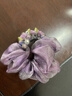 曉色扎頭繩女高級感2025新款氣質(zhì)紫藤花發(fā)圈兩件套輕奢優(yōu)雅風(fēng)大腸發(fā)圈 F3391紫藤花發(fā)圈兩件套 曬單實(shí)拍圖