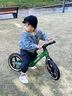 喜爾唯兒童平衡車(chē)1-3-6-12歲兩輪無(wú)腳踏滑步車(chē)小孩滑行自行車(chē)2-5歲寶寶 綠色-12寸-高性?xún)r(jià)比裸車(chē) 曬單實(shí)拍圖