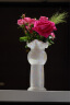 蜀门ins轻奢珍珠色珠光白色北欧现代高级感陶瓷花瓶客厅装饰插花花器 尔岚（珍珠白） 晒单实拍图