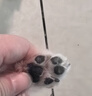華元寵具（hoopet）寵物剃腳毛器貓咪剃毛器腳掌腳底修剪毛神器剃刀狗狗毛推子電推剪 曬單實(shí)拍圖