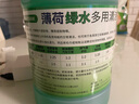 YNK·UNIORAM地板清潔劑多用途薄荷綠色木地板瓷磚拖地花露水強力去污拖地液 金寶同款綠水2.5L（薄荷清香） 曬單實拍圖
