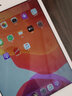 Apple 蘋果平板電腦 iPad mini4 二手平板電腦 銀色 16GWiFi 曬單實拍圖