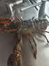 墨斗魚(yú)墻紙自粘墻貼紙防水防潮宿舍翻新貼紙墻面裝飾壁紙0.6*10米 白色 曬單實(shí)拍圖