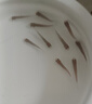 喂烏龜飼料魚(yú)小魚(yú)活體養殖活魚(yú)龍魚(yú)活食飼料淡水魚(yú)苗草魚(yú)苗鯽魚(yú)苗 【飼料魚(yú)1厘米300條】體驗裝 【好評退2】 曬單實(shí)拍圖