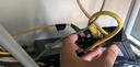 慧谷 電話光端機(jī)4路電話 PCM語音光端機(jī) 電話光纖收發(fā)器延長(zhǎng)器 FC接口 HG-814P 曬單實(shí)拍圖