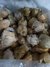 傾睦東北姑娘果黃菇娘洋姑娘果超甜東北特產(chǎn)燈籠果小金豆新鮮現摘水果 1斤精品【 單果7-9g】 曬單實(shí)拍圖