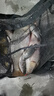 狼王磯竿碳素磯釣竿3號(hào)魚竿套裝手海兩用拋竿甩桿海桿海韻磯 2.4米+紡車輪2000型【烈焰二代】 曬單實(shí)拍圖